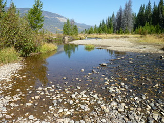 Filename=P1050647.JPG
Filesize=5438KiB
Dimensions=4320x3240
Date added=Sep 18, 2019 P1050647.JPG