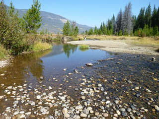 Filename=P1050649.JPG
Filesize=5355KiB
Dimensions=4320x3240
Date added=Sep 18, 2019 P1050649.JPG