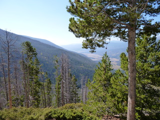 Filename=P1050655.JPG
Filesize=5749KiB
Dimensions=4320x3240
Date added=Sep 18, 2019 P1050655.JPG