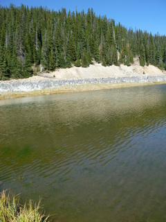 Filename=P1050665.JPG
Filesize=5215KiB
Dimensions=3240x4320
Date added=Sep 18, 2019 P1050665.JPG