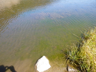 Filename=P1050667.JPG
Filesize=5788KiB
Dimensions=4320x3240
Date added=Sep 18, 2019 P1050667.JPG