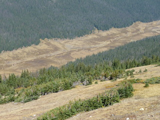 Filename=P1050676.JPG
Filesize=5416KiB
Dimensions=4320x3240
Date added=Sep 18, 2019 P1050676.JPG