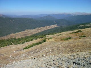 Filename=P1050678.JPG
Filesize=5644KiB
Dimensions=4320x3240
Date added=Sep 18, 2019 P1050678.JPG