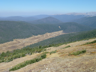 Filename=P1050679.JPG
Filesize=5624KiB
Dimensions=4320x3240
Date added=Sep 18, 2019 P1050679.JPG