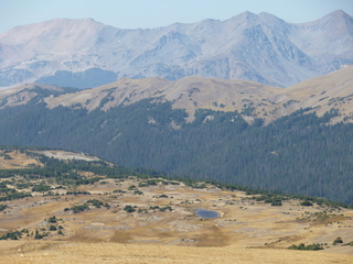 Filename=P1050681.JPG
Filesize=5246KiB
Dimensions=4320x3240
Date added=Sep 18, 2019 P1050681.JPG