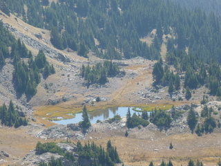 Filename=P1050689.JPG
Filesize=5387KiB
Dimensions=4320x3240
Date added=Sep 18, 2019 P1050689.JPG