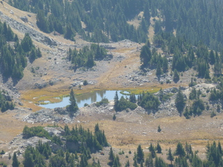 Filename=P1050690.JPG
Filesize=5450KiB
Dimensions=4320x3240
Date added=Sep 18, 2019 P1050690.JPG