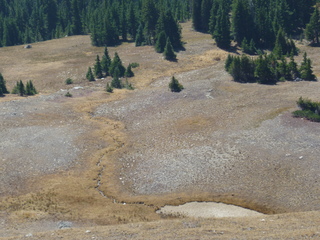 Filename=P1050691.JPG
Filesize=5595KiB
Dimensions=4320x3240
Date added=Sep 18, 2019 P1050691.JPG