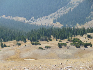 Filename=P1050692.JPG
Filesize=5730KiB
Dimensions=4320x3240
Date added=Sep 18, 2019 P1050692.JPG