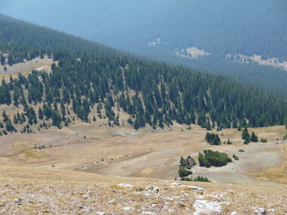 Filename=P1050697.JPG
Filesize=5095KiB
Dimensions=4320x3240
Date added=Sep 18, 2019 P1050697.JPG