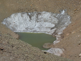 Filename=P1050699.JPG
Filesize=5948KiB
Dimensions=4320x3240
Date added=Sep 18, 2019 P1050699.JPG