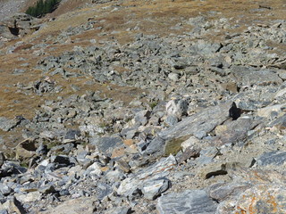 Filename=P1050717.JPG
Filesize=5401KiB
Dimensions=4320x3240
Date added=Sep 18, 2019 P1050717.JPG