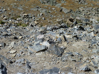 Filename=P1050718.JPG
Filesize=5657KiB
Dimensions=4320x3240
Date added=Sep 18, 2019 P1050718.JPG