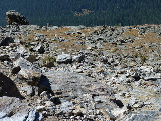 Filename=P1050719.JPG
Filesize=5411KiB
Dimensions=4320x3240
Date added=Sep 18, 2019 P1050719.JPG