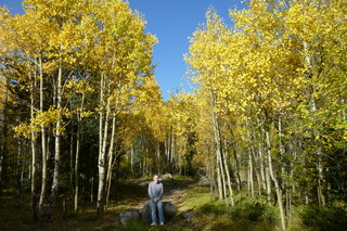 Filename=P1050731.JPG
Filesize=5347KiB
Dimensions=4320x2880
Date added=Sep 18, 2019 P1050731.JPG