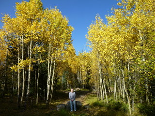 Filename=P1050732.JPG
Filesize=5571KiB
Dimensions=4320x3240
Date added=Sep 18, 2019 P1050732.JPG