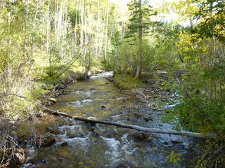 Filename=P1050737.JPG
Filesize=5547KiB
Dimensions=4320x3240
Date added=Sep 18, 2019 P1050737.JPG