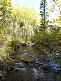 Filename=P1050738.JPG
Filesize=5158KiB
Dimensions=3240x4320
Date added=Sep 18, 2019 P1050738.JPG