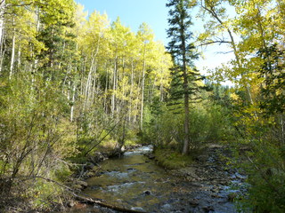 Filename=P1050744.JPG
Filesize=5838KiB
Dimensions=4320x3240
Date added=Sep 18, 2019 P1050744.JPG