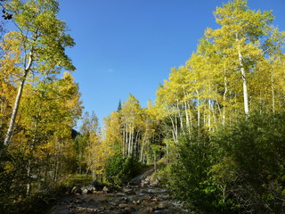 Filename=P1050745.JPG
Filesize=5757KiB
Dimensions=4320x3240
Date added=Sep 18, 2019 P1050745.JPG