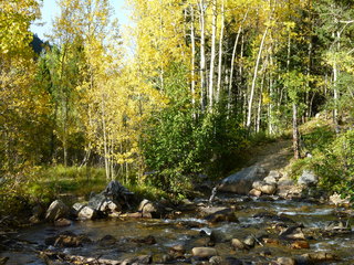 Filename=P1050748.JPG
Filesize=5880KiB
Dimensions=4320x3240
Date added=Sep 18, 2019 P1050748.JPG