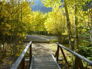 Filename=P1050749.JPG
Filesize=5590KiB
Dimensions=4320x3240
Date added=Sep 18, 2019 P1050749.JPG