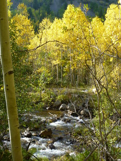 Filename=P1050755.JPG
Filesize=4994KiB
Dimensions=3240x4320
Date added=Sep 18, 2019 P1050755.JPG