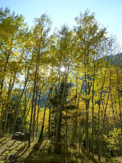 Filename=P1050760.JPG
Filesize=5106KiB
Dimensions=3240x4320
Date added=Sep 18, 2019 P1050760.JPG