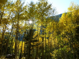 Filename=P1050761.JPG
Filesize=5964KiB
Dimensions=4320x3240
Date added=Sep 18, 2019 P1050761.JPG