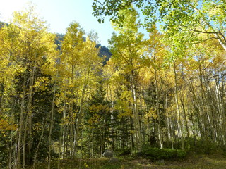 Filename=P1050762.JPG
Filesize=5911KiB
Dimensions=4320x3240
Date added=Sep 18, 2019 P1050762.JPG