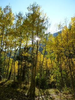 Filename=P1050766.JPG
Filesize=5211KiB
Dimensions=3240x4320
Date added=Sep 18, 2019 P1050766.JPG