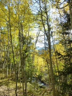 Filename=P1050767.JPG
Filesize=5274KiB
Dimensions=3240x4320
Date added=Sep 18, 2019 P1050767.JPG