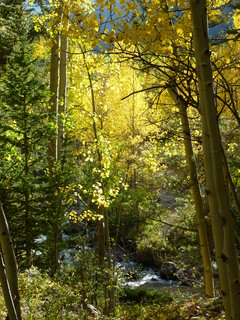 Filename=P1050768.JPG
Filesize=5011KiB
Dimensions=3240x4320
Date added=Sep 18, 2019 P1050768.JPG