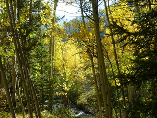 Filename=P1050769.JPG
Filesize=5818KiB
Dimensions=4320x3240
Date added=Sep 18, 2019 P1050769.JPG