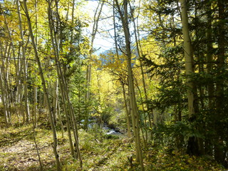 Filename=P1050770.JPG
Filesize=5852KiB
Dimensions=4320x3240
Date added=Sep 18, 2019 P1050770.JPG