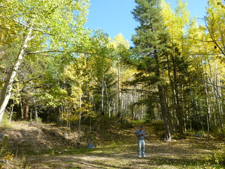 Filename=P1050771.JPG
Filesize=5831KiB
Dimensions=4320x3240
Date added=Sep 18, 2019 P1050771.JPG