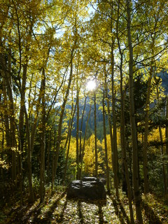 Filename=P1050773.JPG
Filesize=4795KiB
Dimensions=3240x4320
Date added=Sep 18, 2019 P1050773.JPG