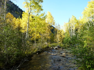 Filename=P1050778.JPG
Filesize=5930KiB
Dimensions=4320x3240
Date added=Sep 18, 2019 P1050778.JPG