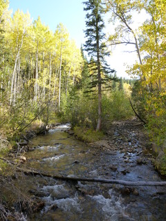 Filename=P1050779.JPG
Filesize=5280KiB
Dimensions=3240x4320
Date added=Sep 18, 2019 P1050779.JPG