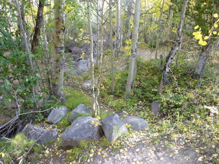 Filename=P1050781.JPG
Filesize=5863KiB
Dimensions=4320x3240
Date added=Sep 18, 2019 P1050781.JPG