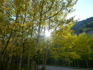 Filename=P1050782.JPG
Filesize=5886KiB
Dimensions=4320x3240
Date added=Sep 18, 2019 P1050782.JPG