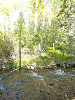 Filename=P1050785.JPG
Filesize=4979KiB
Dimensions=3240x4320
Date added=Sep 18, 2019 P1050785.JPG