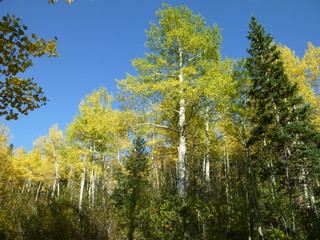 Filename=P1050786.JPG
Filesize=5677KiB
Dimensions=4320x3240
Date added=Sep 18, 2019 P1050786.JPG