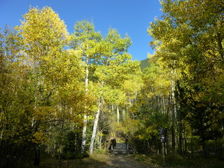 Filename=P1050787.JPG
Filesize=6047KiB
Dimensions=4320x3240
Date added=Sep 18, 2019 P1050787.JPG