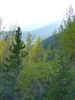 Filename=P1050792.JPG
Filesize=5159KiB
Dimensions=3240x4320
Date added=Sep 18, 2019 P1050792.JPG