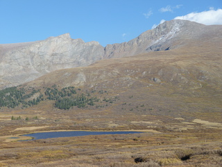 Filename=P1050799.JPG
Filesize=5674KiB
Dimensions=4320x3240
Date added=Sep 18, 2019 P1050799.JPG