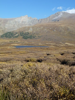 Filename=P1050803.JPG
Filesize=4916KiB
Dimensions=3240x4320
Date added=Sep 18, 2019 P1050803.JPG