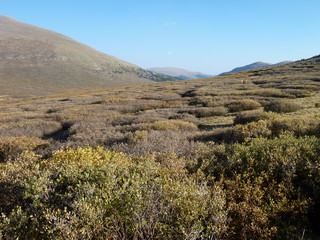 Filename=P1050807.JPG
Filesize=5596KiB
Dimensions=4320x3240
Date added=Sep 18, 2019 P1050807.JPG