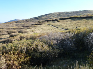 Filename=P1050808.JPG
Filesize=5657KiB
Dimensions=4320x3240
Date added=Sep 18, 2019 P1050808.JPG