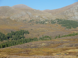 Filename=P1050811.JPG
Filesize=5665KiB
Dimensions=4320x3240
Date added=Sep 18, 2019 P1050811.JPG